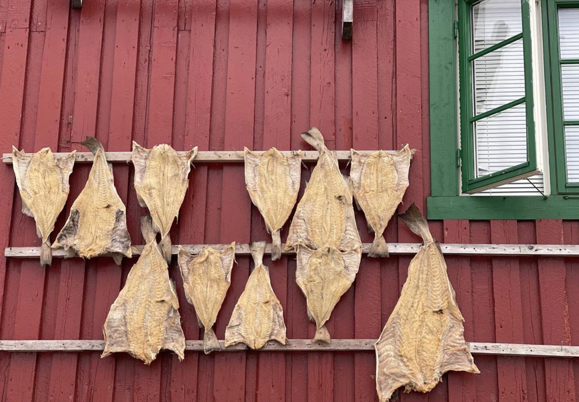 Ferienwohnung Liten rorbu i Stamsund Exterior foto